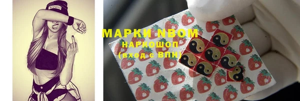 дживик Краснослободск