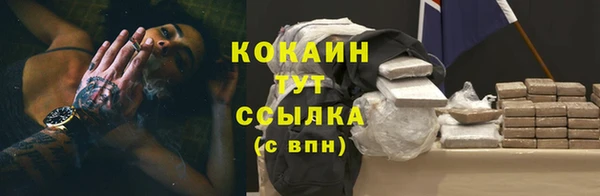 твердый Костерёво