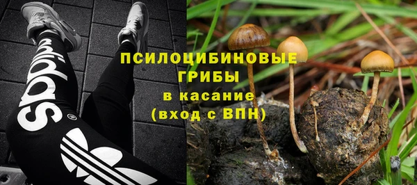 дживик Краснослободск
