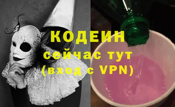 дживик Краснослободск