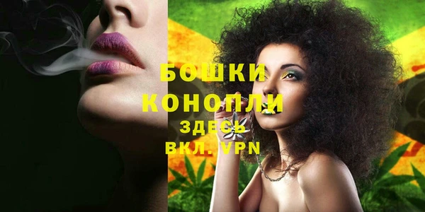 мяу мяу мука Корсаков