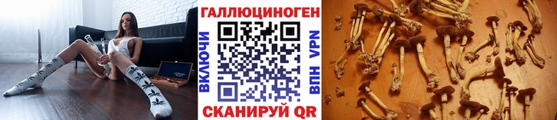 Псилоцибиновые грибы Cubensis  Купить закладки  Мышкин 